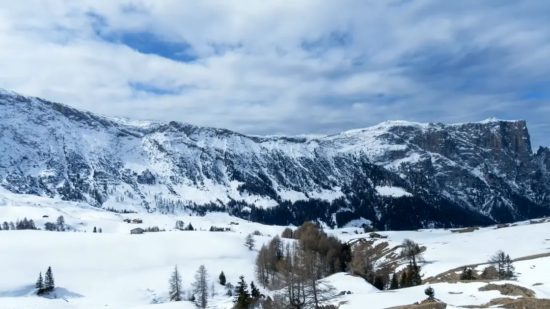 The plateau