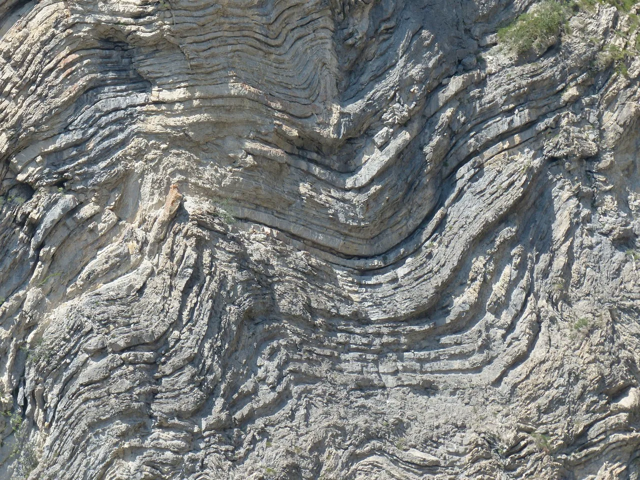 The rock