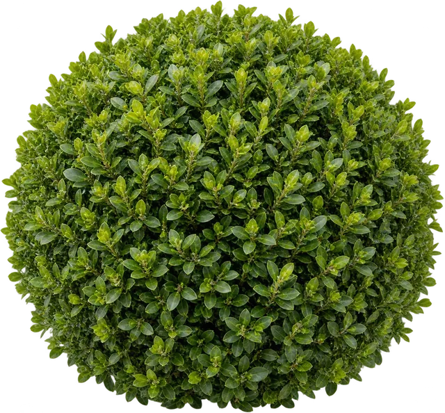 A clipped box ball