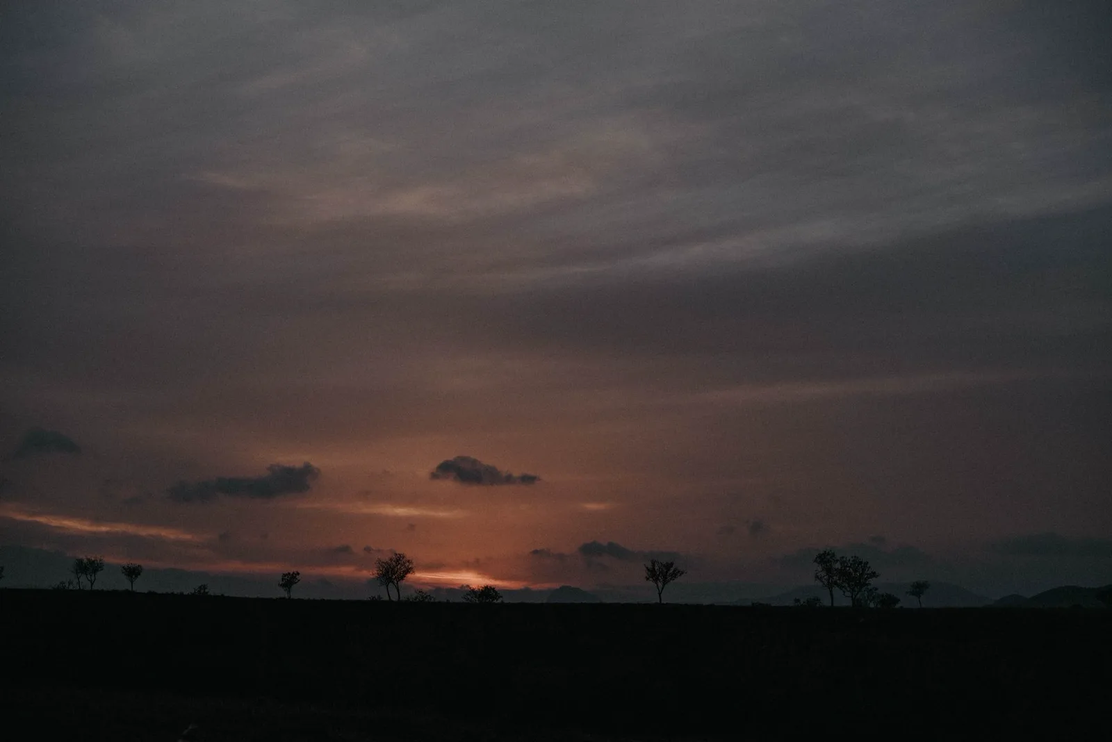 The horizon
