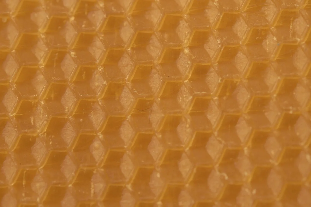 The wax