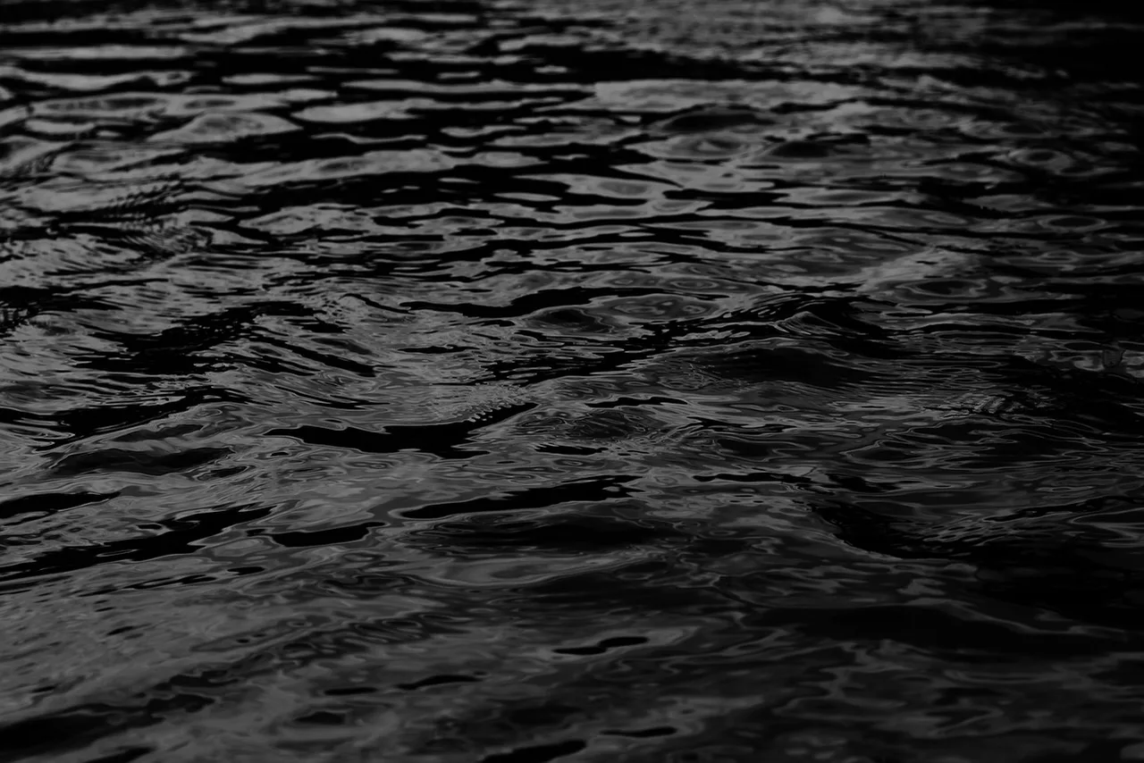 The water