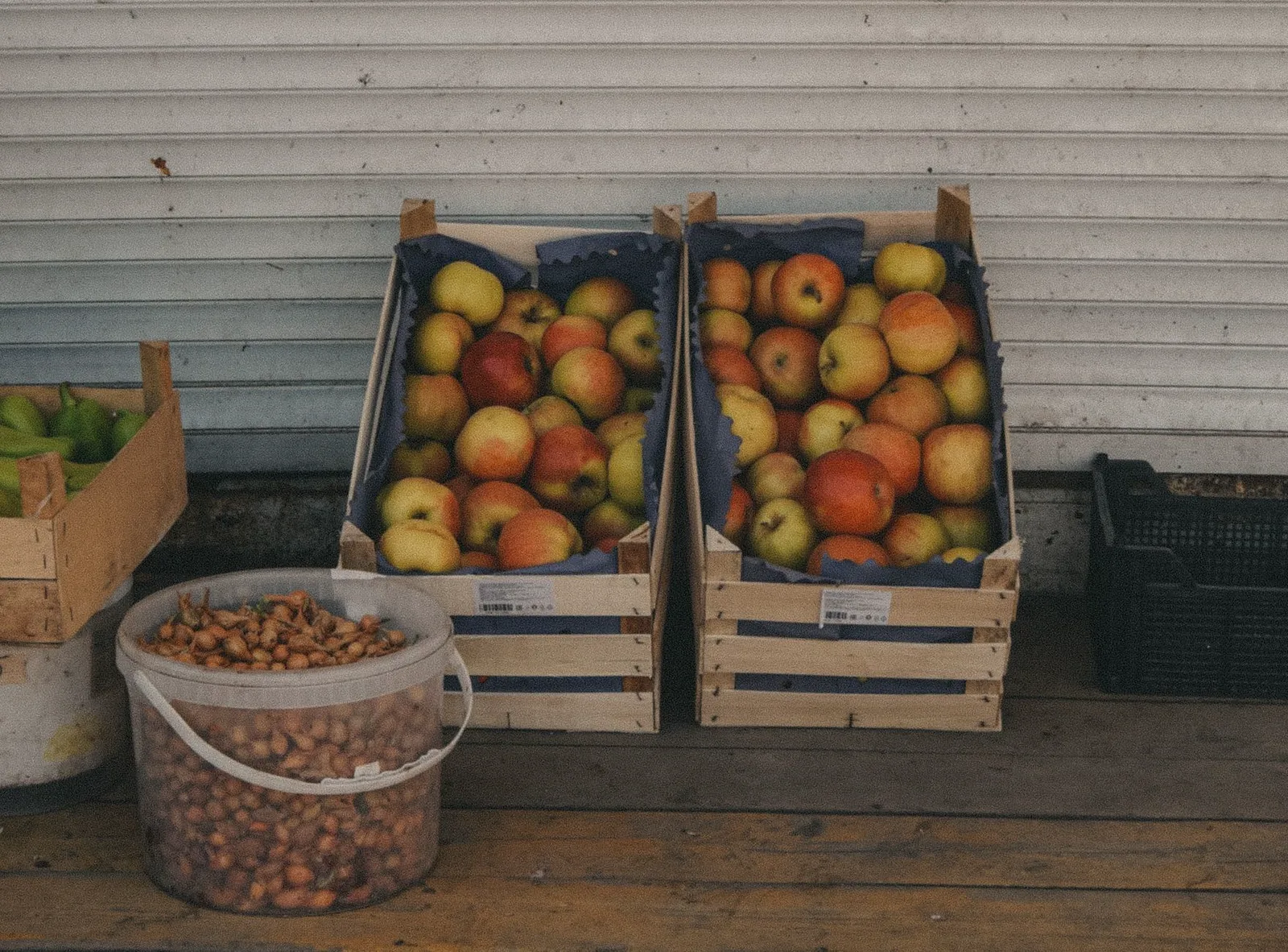 The fruit